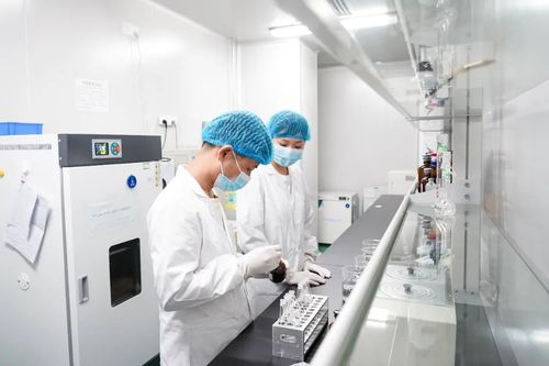 专注医疗科技前沿，厦门海沧这家企业如何深耕微创耗材与网络信息技术研发